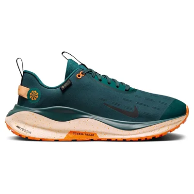 کفش نایک اینفینیتی ۴ (Nike Infinity Run 4 GTX) مستر