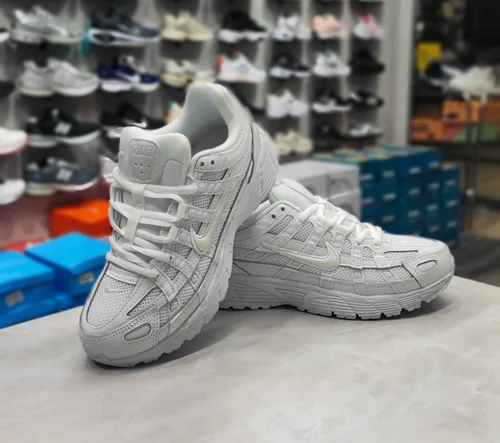 نایک پگاسوس (p-6000)